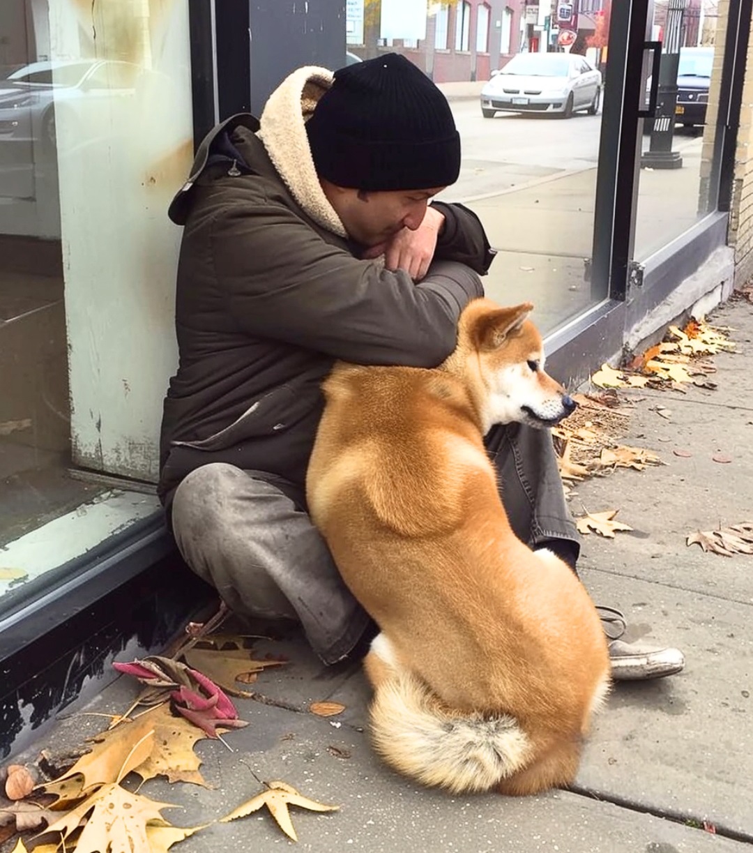 Dog Goes to Closed Store Daily then Leaves, One Evening Poor Boy Notices and Follows It