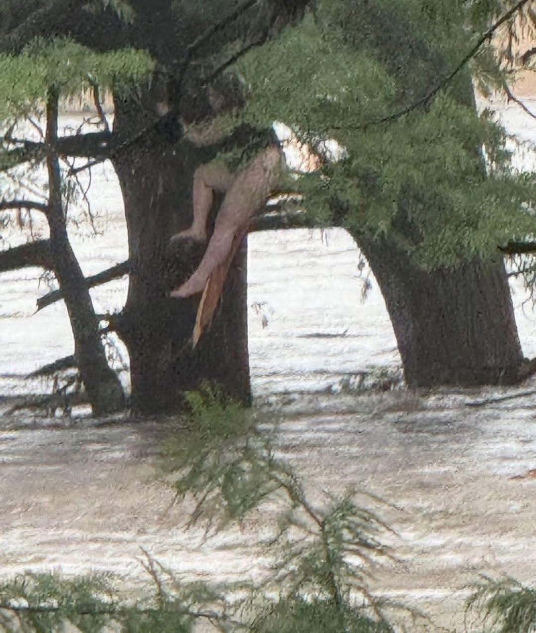 Breaking News: One of the missing camp girls was found 12 miles down river in Texas.
