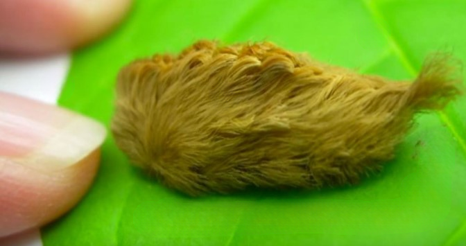 While resting on a bench, they spotted a curious little furry creature unlike anything they had seen before.