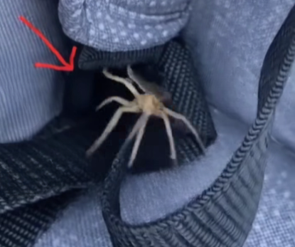 Mysterious Items Found on Cars – Here’s What They Really Mean