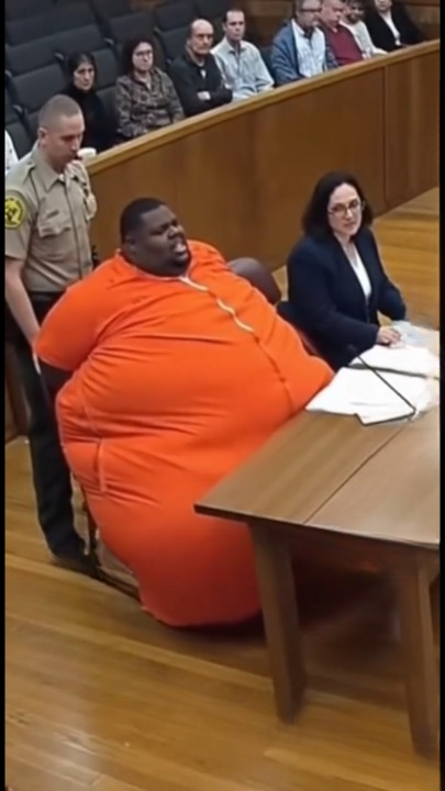 The Unexpected Courtroom Remark That Brought the Hearing to a Halt